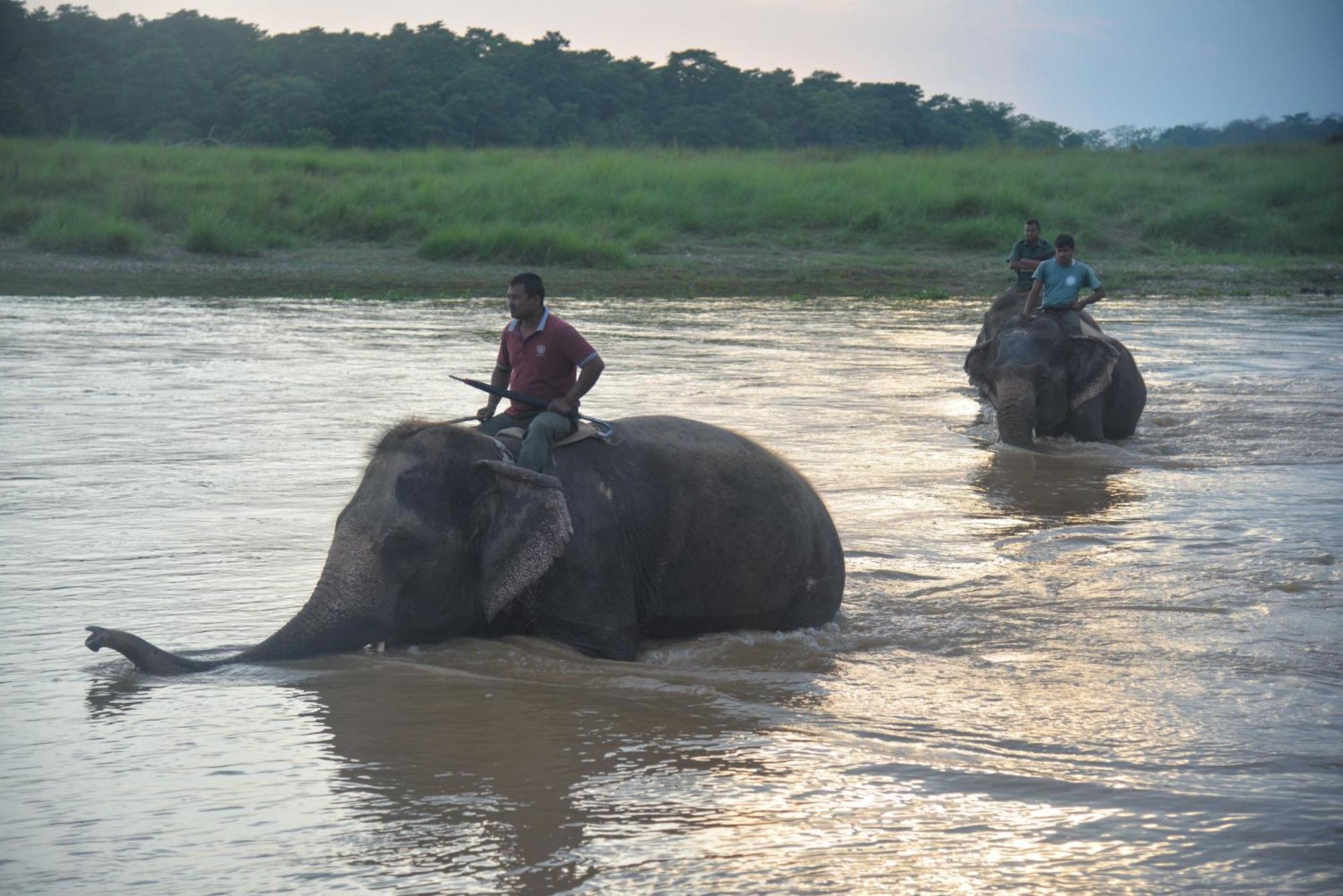 Greenland Safari, Sauraha Bagian luar foto