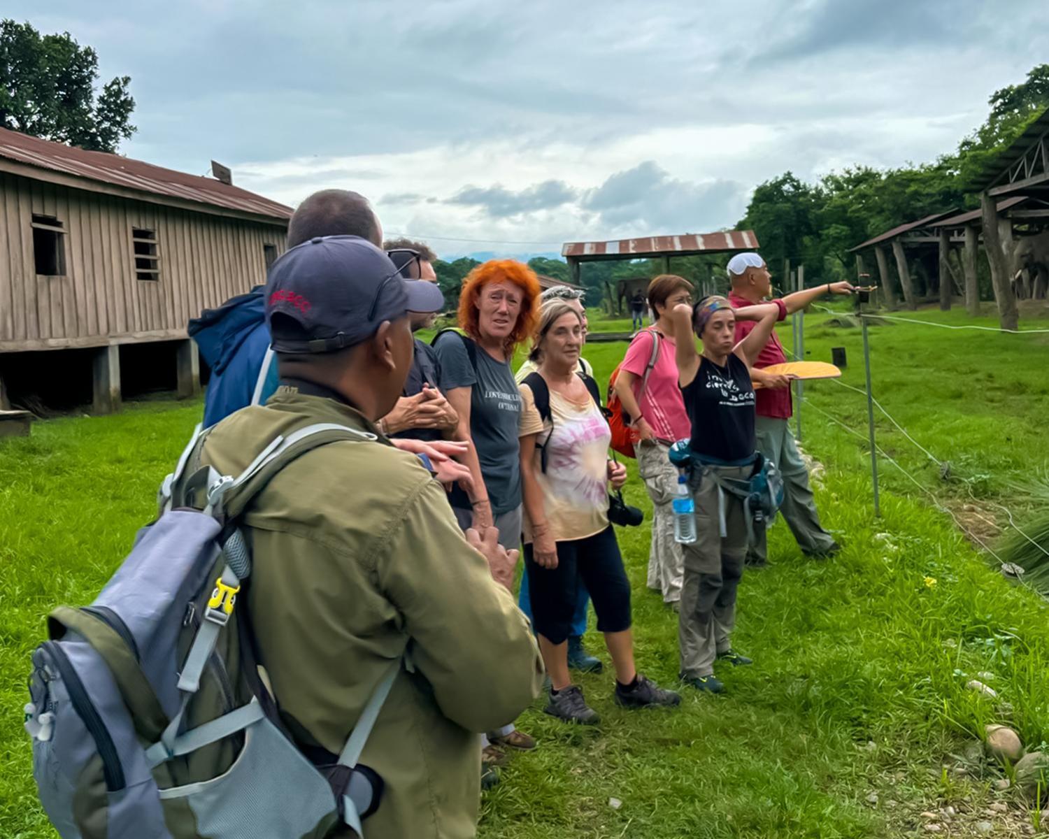 Greenland Safari, Sauraha Bagian luar foto